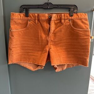 Women's Carve Oahu burnt Orange Cord Shorts 4” size 12